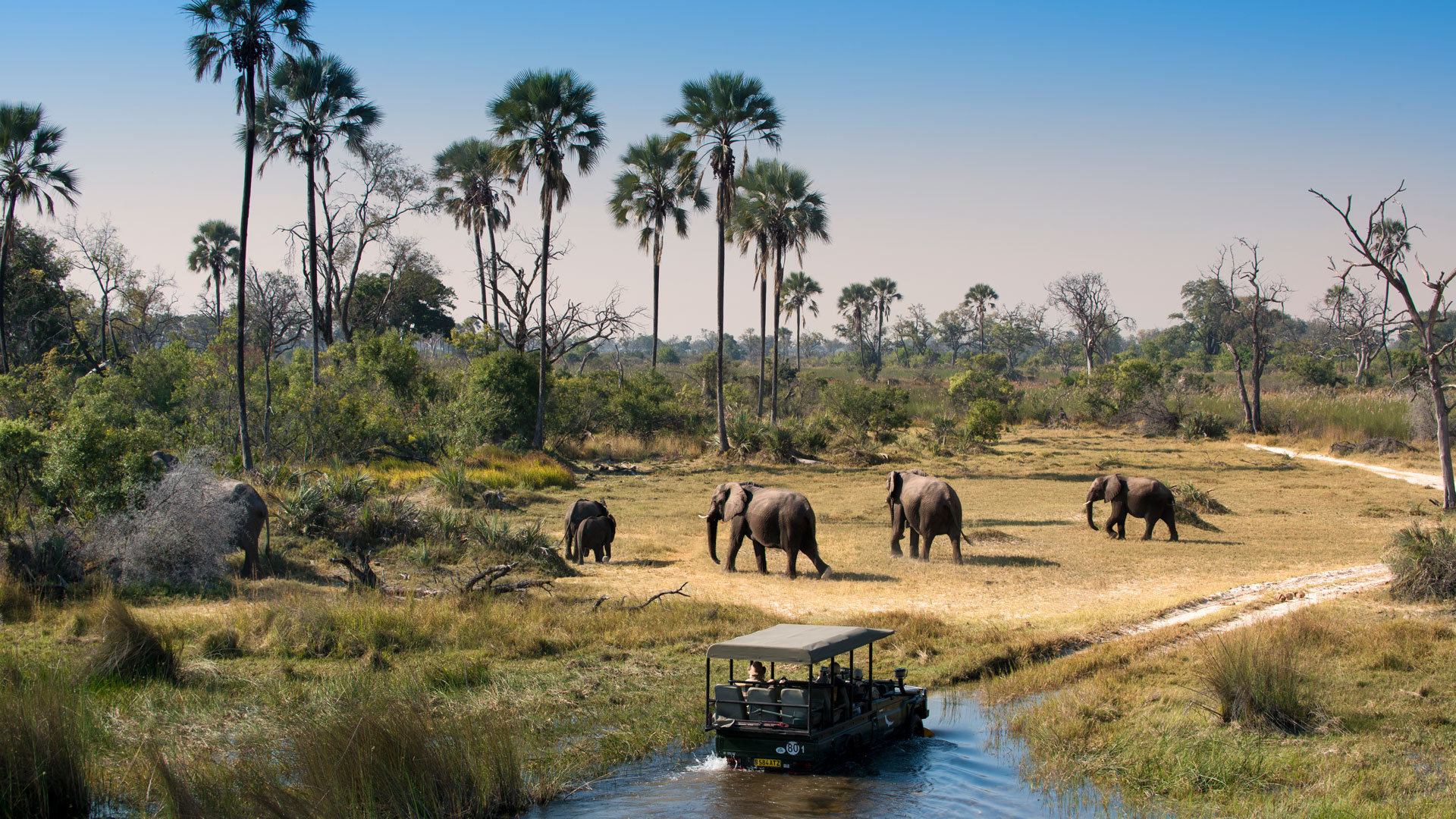 BOTSWANA-4